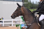 BPP_8031