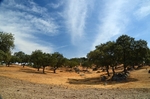 Sierra de Andújar, Andalucia, Spain