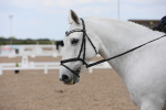 SBM_05807