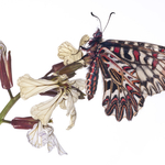 ITA_PHD_20120427-036