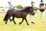 SBM_04336