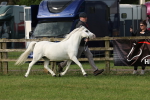 SBM_00599