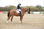 SBM_004556