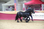 SBM_05074