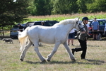 WJ6_4918