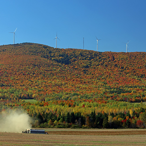 Harvesting Potatoes in New Brunswick Canada