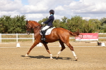 SBM_006224