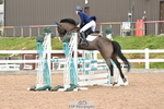 Cls 11,12+13 Children on Horses portfolio