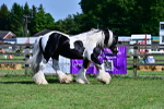 SBM_09467