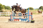 SBM_000580