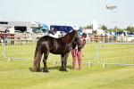 SBM_00695