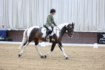 SBM_000856