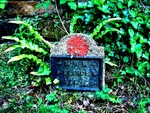 Horsham 05