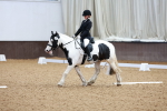 SBM_001299