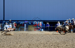3HRodeo8-11-25_PRCASteer_02165_