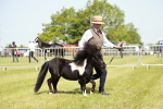 SBM_01902