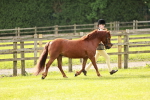 SBM_00438