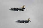 HARRIERS 010