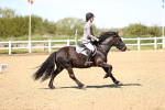 SBM_002098