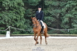 260801A-104844-03195