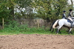 WJ6_7926