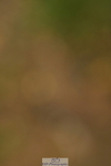 240121A-131430-00108
