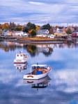 South End Autumn