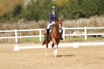 SBM_018317