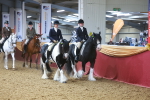 SBM_14877
