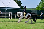 SBM_09331