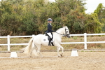 SBM_003654