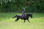 Chiltern Rides - Kingston Blount Fun Ride 08-05-25 portfolio