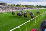 190826-Race 7-Henley On Thames-0787