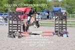 BPP_6841
