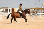 SBM_15555