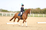 SBM_007433