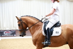 0B8A1264