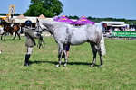 SBM_18226