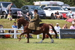 3E7A9728