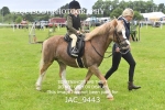 JAC_9443