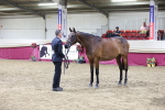 Class I - Ridden Pony Champ portfolio