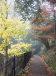 Late November, Rougemont Gardens, Exeter