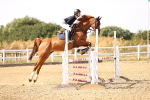 SBM_001365