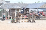 BPP_8291