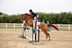 SBM_008970