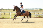 SBM_000751