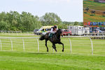 300526-Race 4-Not So Sobers-0599