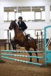 Show Jumping - 22-3-25 portfolio