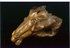 Horse.