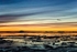 Turnagain View